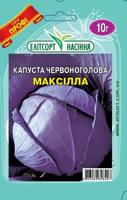 Насіння червоноголової капусти — купити ранні, середні та пізні сорти й гібриди F1 в Україні