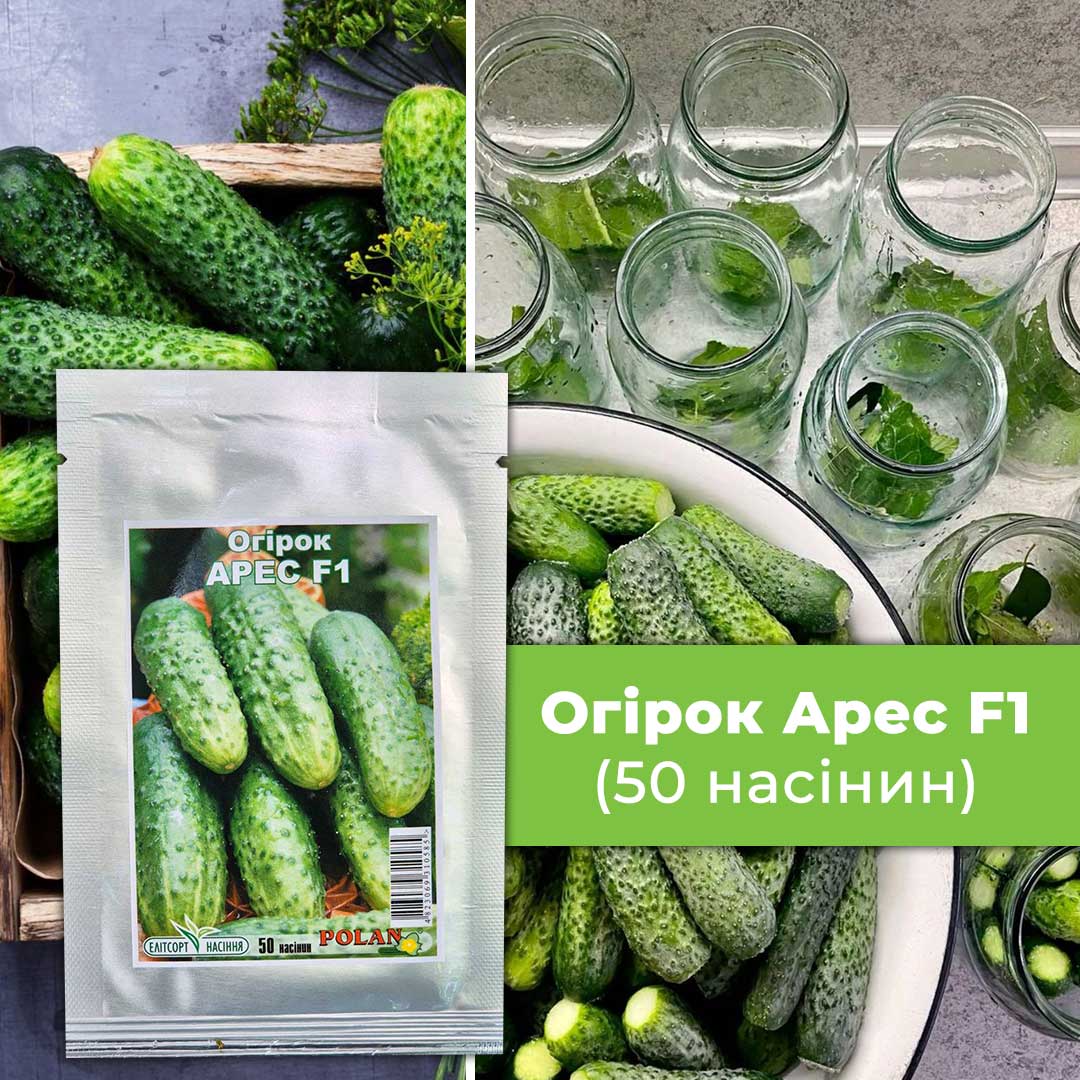 Огірок Арес F1