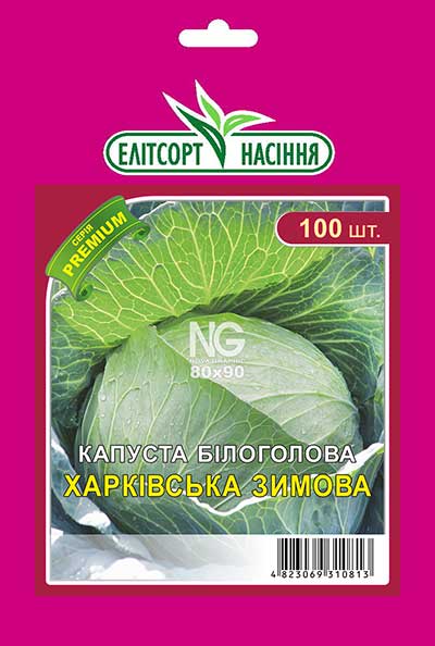 Капуста Харківська зимова
