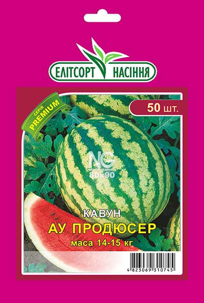 Кавун Ау Продюсер