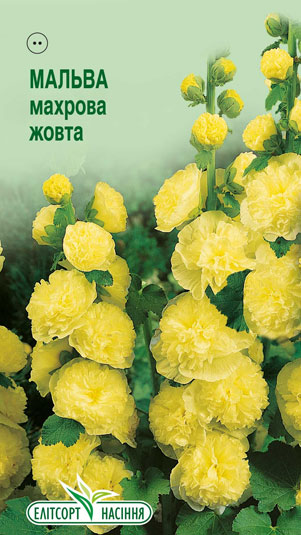 malva-mahrova-zhovta Мальва махрова жовта 10шт. - Зображення 1