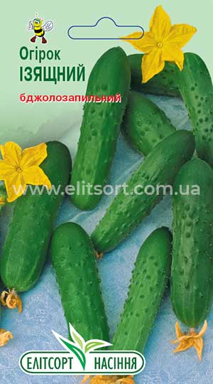 Огірок Ізящний