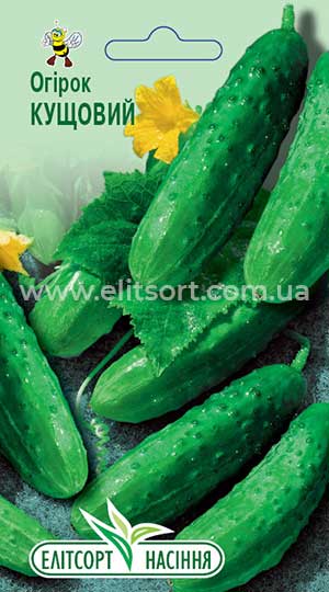 Огірок Кущовий