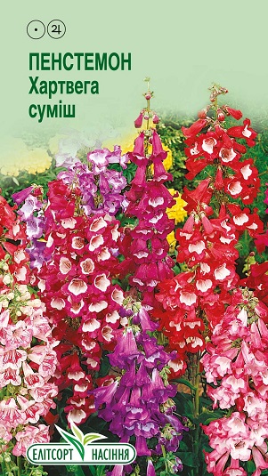 пенстемон-хартвега-сумиш Пенстемон Хартвега суміш 0,05г - Зображення 1