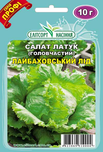 Салат головчастий Лайбаховський лід