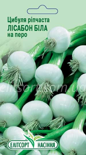 Цибуля ріпчаста Лісабон біла