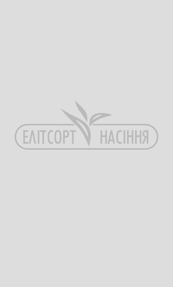 Зображення товару очікується